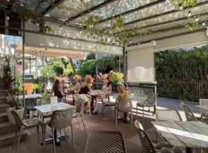 Dimic Ellite villa APP 4*